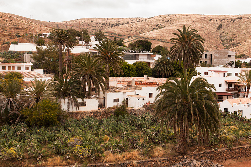 Reistetipps für Fuerteventura Anfänger. Mit dem Auto haben wir an drei Tagesausflügen die Insel erobert. Ausführliche Berichte und Fotos gibt es auf Purple Avocado.