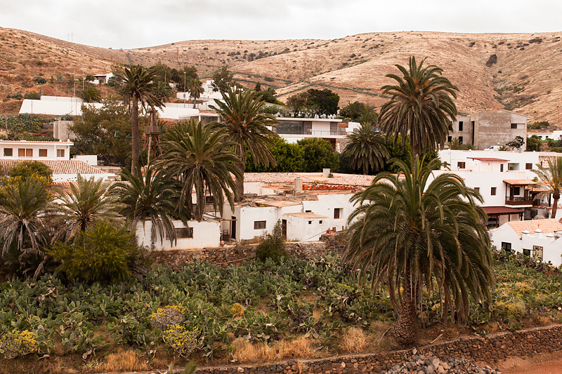 Travel Guide for Fuerteventura Beginners. We discovered the Canary Islands on three day trips with a rental car. You can find a detailed report and photos on Purple Avocado