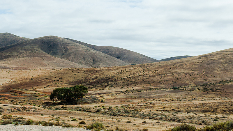 Travel Guide for Fuerteventura Beginners. We discovered the Canary Islands on three day trips with a rental car. You can find a detailed report and photos on Purple Avocado