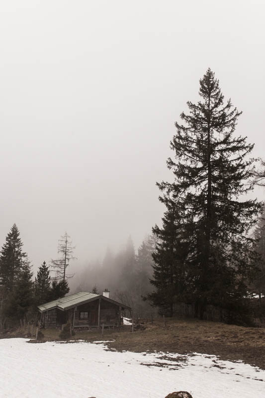 I was mountain Hiking in Berchtesgaden. and conquered 1000 m of elevation climb until I reached the Mitterkaseralm on the Jenner. Read all about the unexpected difficulties on Purple Avocado.