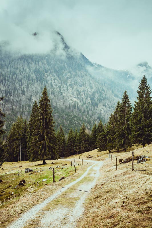 My first hike in Berchtesgaden lead me from Ramsau to the lake Hintersee and a magical forest. A very picturesque hiking trail also suited for beginners.