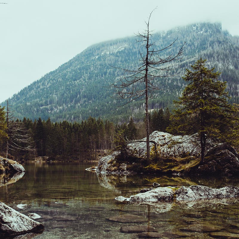 My first hike in Berchtesgaden lead me from Ramsau to the lake Hintersee and a magical forest. A very picturesque hiking trail also suited for beginners.