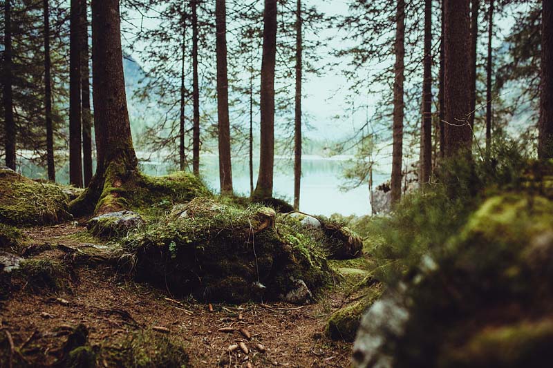 My first hike in Berchtesgaden lead me from Ramsau to the lake Hintersee and a magical forest. A very picturesque hiking trail also suited for beginners.