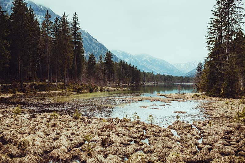 My first hike in Berchtesgaden lead me from Ramsau to the lake Hintersee and a magical forest. A very picturesque hiking trail also suited for beginners.