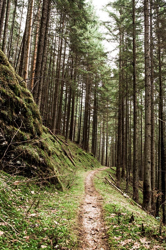 My first hike in Berchtesgaden lead me from Ramsau to the lake Hintersee and a magical forest. A very picturesque hiking trail also suited for beginners.