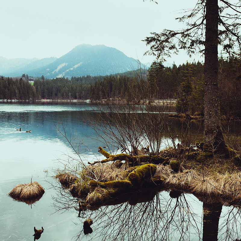 My first hike in Berchtesgaden lead me from Ramsau to the lake Hintersee and a magical forest. A very picturesque hiking trail also suited for beginners.