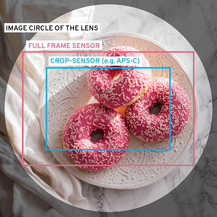 Crop-factor visually explained. The camera sensor of a crop-camera is smaller than the sensor of a full frame camera