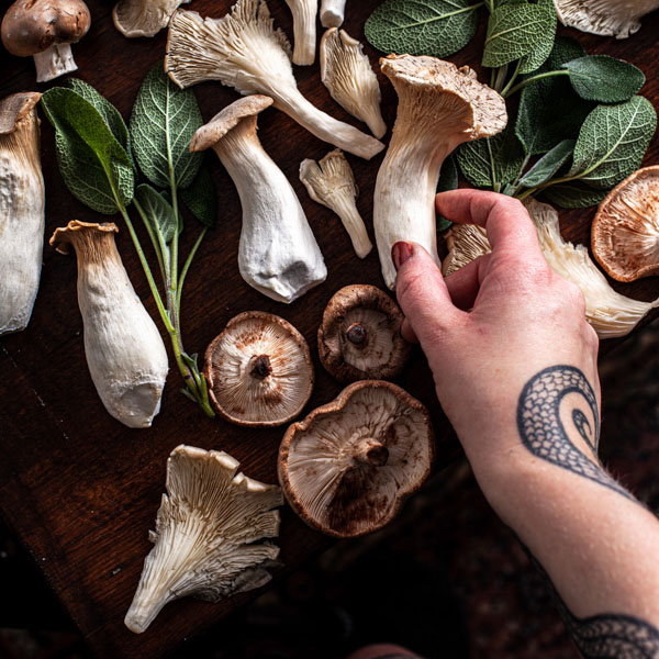 Mushrooms Food Fotografie Sabrina Dietz